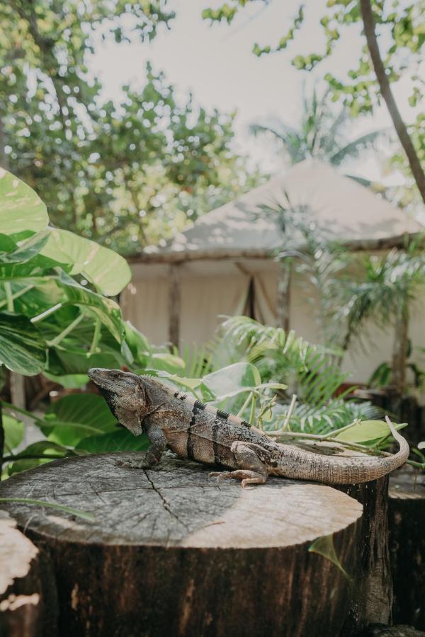 Ether Tulum Pueblo Buitenkant foto